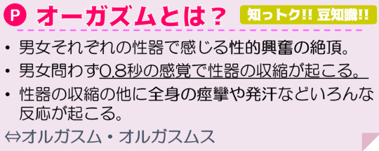 豆知識