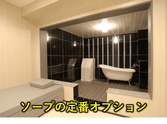 定番オプションの種類と内容を解説