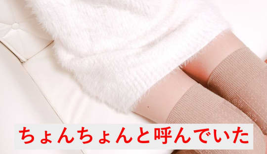 「おめこ」の呼び方はちょんちょん