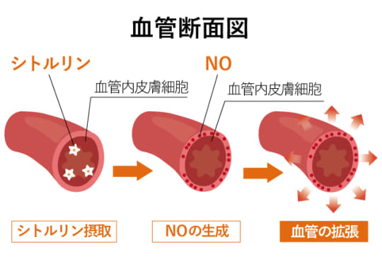 副作用はあるの？