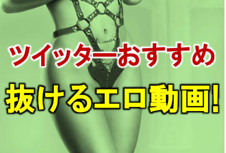まとめ動画