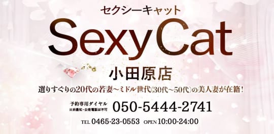 セクシーキャット