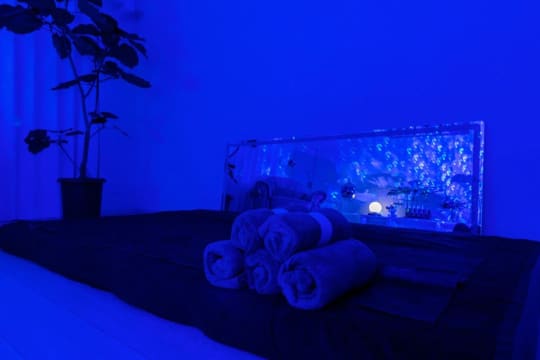 必殺アキバ娘のHP画像