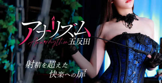 アナリズム五反田