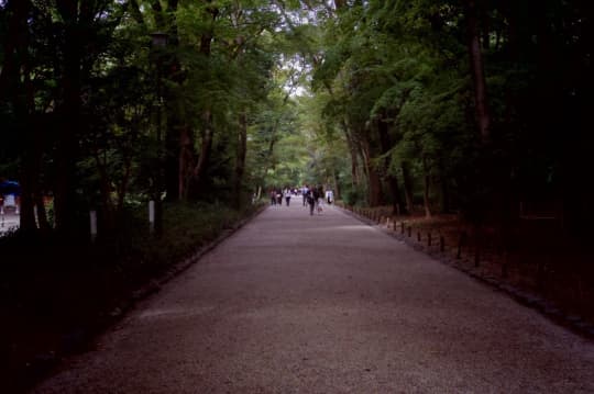 下鴨神社(賀茂御祖神社) 