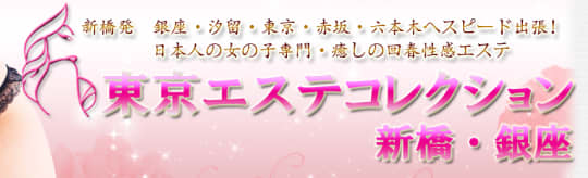東京エステコレクションのTOP画像
