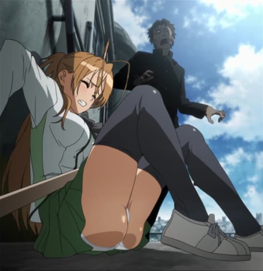 学園黙示録 HIGHSCHOOL OF THE DEAD