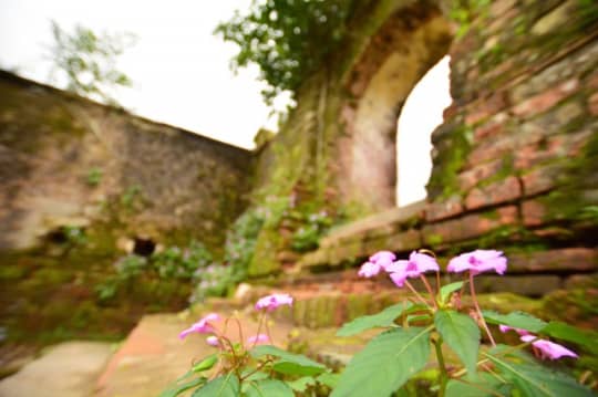 フエの王宮の庭園