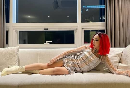 2NE1 流出