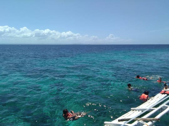 セブ 海