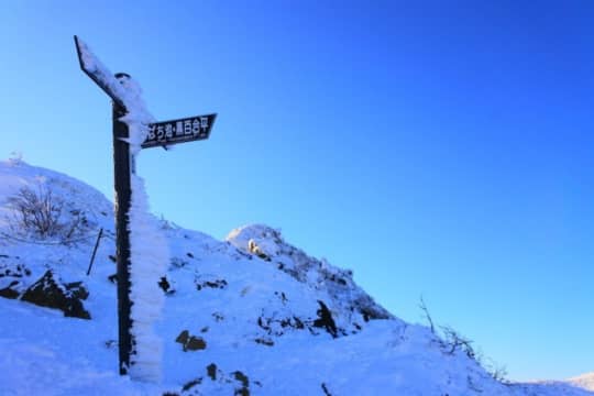 エビの尻尾のように雪がついた道案内