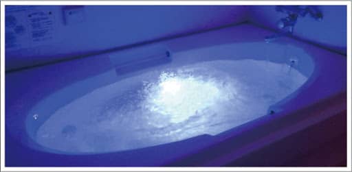 レインボーバス