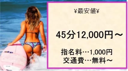 理想都の料金