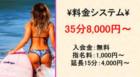 プチドールの料金システム