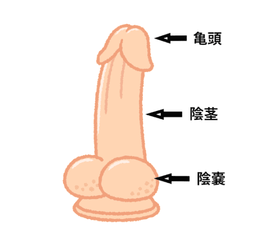ちんこ