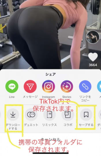 TikTokの使い方