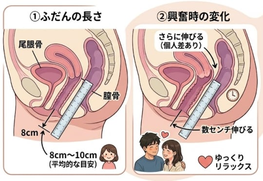 女性　まんこ