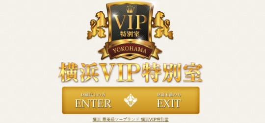 VIP(ビップ)特別室