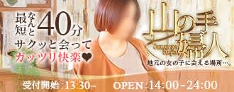 山の手婦人