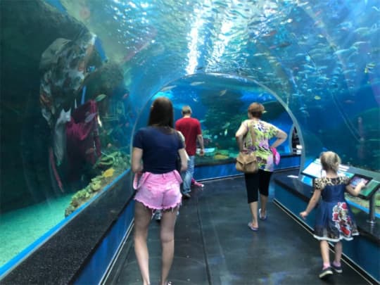 沿海州水族館の館内