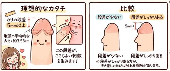 ちんこ　カリ