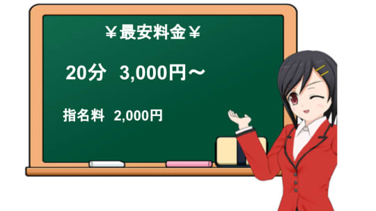 ハーレムエースの料金表