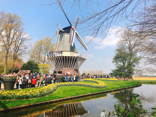 オランダ　アムステルダム　キューケンホフ公園