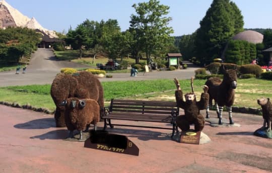 九州自然動物園サファリパーク