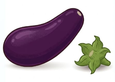 ナスオナニー