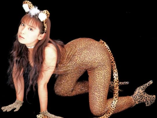 雛形あきこ おっぱい