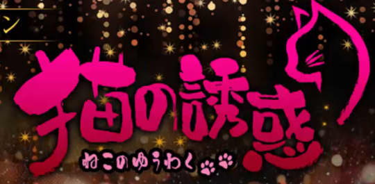 猫の誘惑