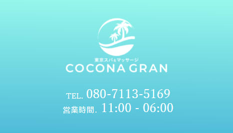 ココナグラン 錦糸町