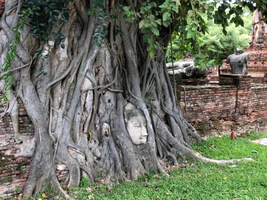 タイ観光地アユタヤ顔