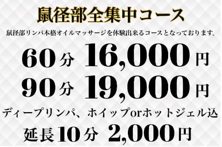 spider料金システム