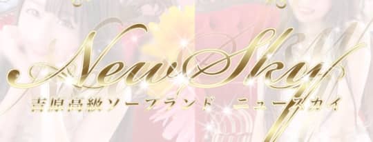 https://new-sky.jp/