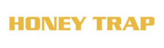 https://hptop.jp/iwate_honey_trap/