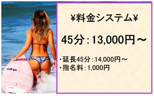 ヤングレディの料金表