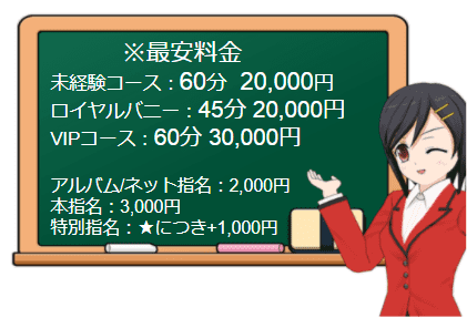 いたずらバニーちゃんの料金表