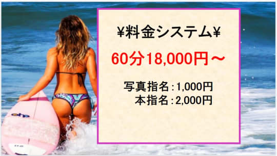 料金