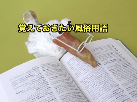 風俗　初めて　用語