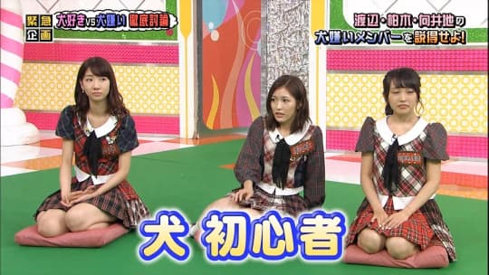 渡辺麻友 おっぱい
