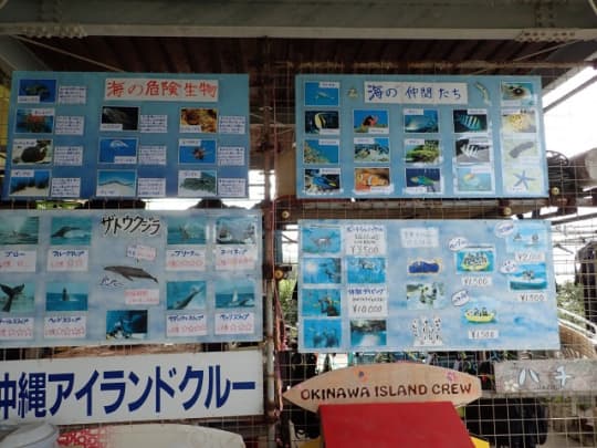 水納島　マリンメニュー　写真