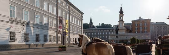 Salzburgmuseumより