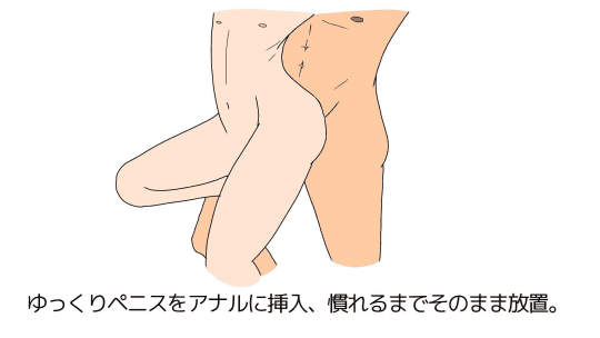 ゲイ アナル