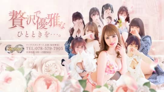 amuse(アミューズ)