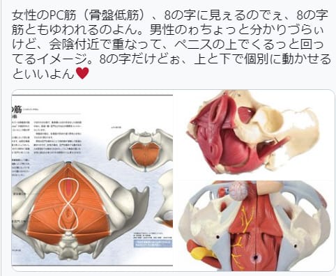 仕組み