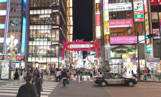 新宿・歌舞伎町の風俗エリア