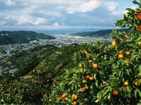 じゃらん・和歌山