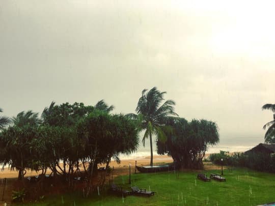 海岸の雨