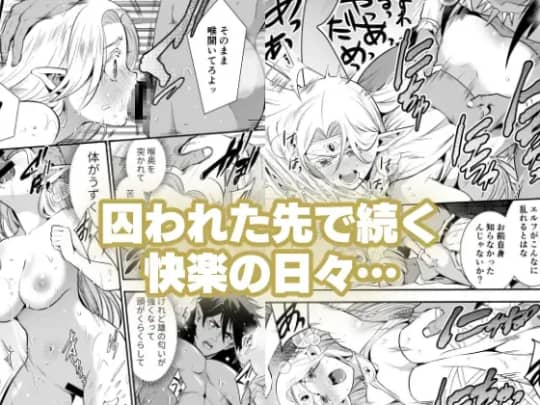 オークの花嫁 ～攫われエルフは快楽に堕ちる～